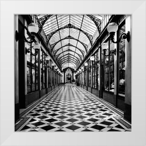 Passage des princes-Paris White Modern Wood Framed Art Print by Butcher, Dave