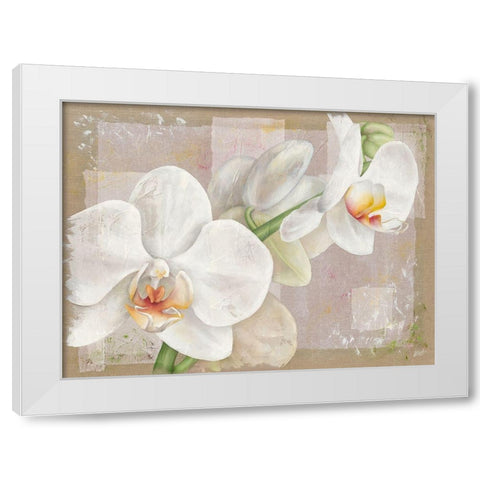 Orchidee White Modern Wood Framed Art Print by Cadoret, Virginie
