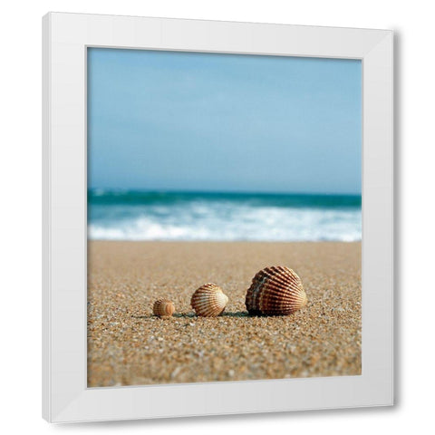 The Family White Modern Wood Framed Art Print by Copeland, Gill