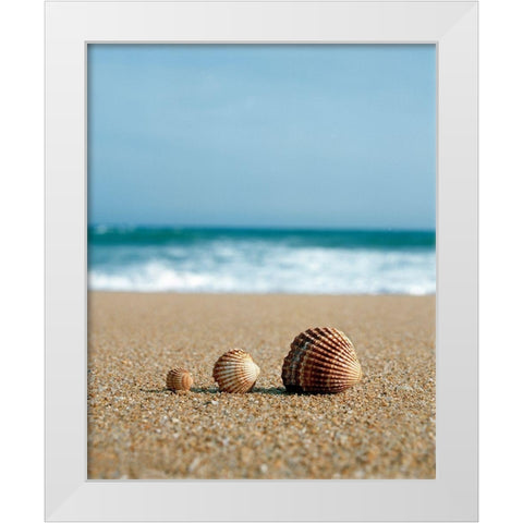 The Family White Modern Wood Framed Art Print by Copeland, Gill