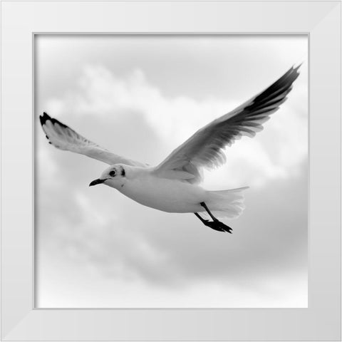 Fly Away White Modern Wood Framed Art Print by Steger, Uwe