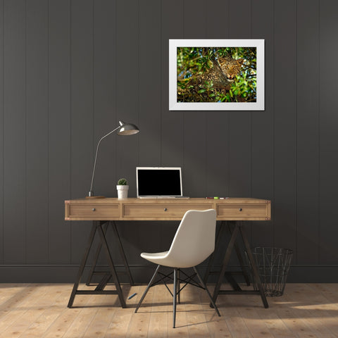Leopard Camouflage White Modern Wood Framed Art Print by Ortega, Xavier
