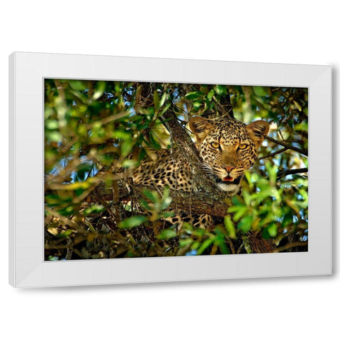 Leopard Camouflage White Modern Wood Framed Art Print by Ortega, Xavier