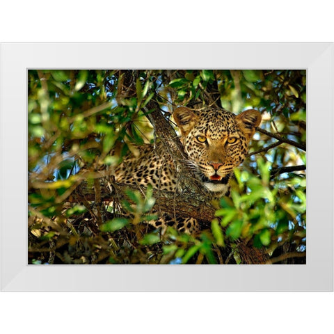 Leopard Camouflage White Modern Wood Framed Art Print by Ortega, Xavier