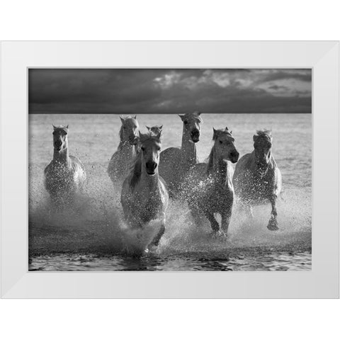 Horses Landing at the Beach White Modern Wood Framed Art Print by Llovet, Jorge