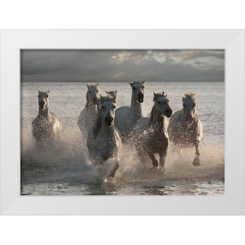 Horses Landing at the Beach White Modern Wood Framed Art Print by Llovet, Jorge