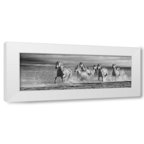 Horses Running at the Beach White Modern Wood Framed Art Print by Llovet, Jorge