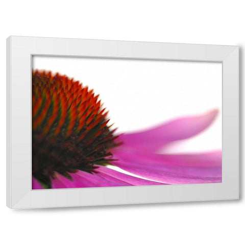 Leftside White Modern Wood Framed Art Print by Steger, Uwe