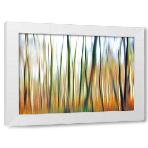 Abstrahierte Welten I White Modern Wood Framed Art Print by Suschaa