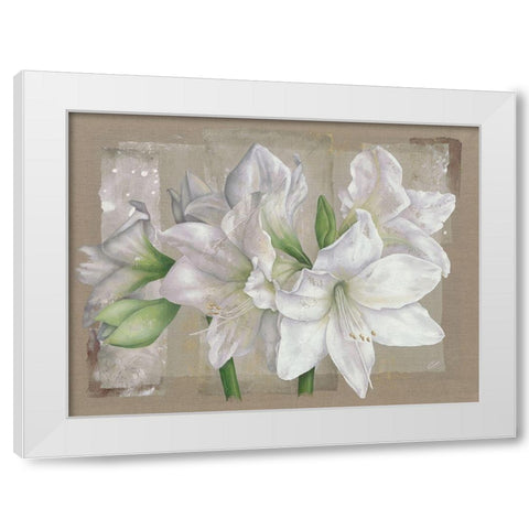 Amaryllis Blanc White Modern Wood Framed Art Print by Cadoret, Virginie