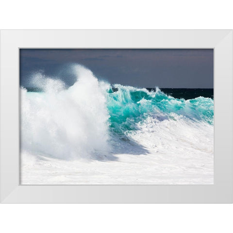 Baja California White Modern Wood Framed Art Print by Westfield, Wim