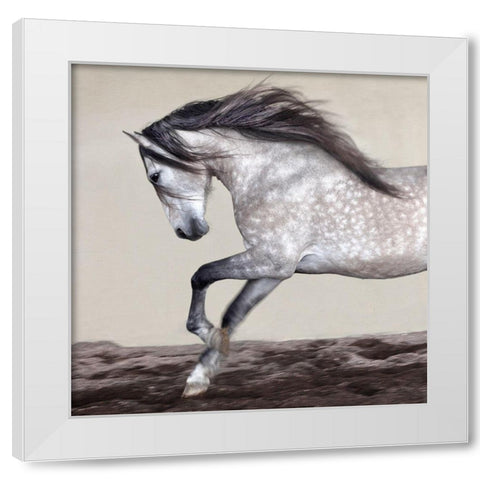 Perseverance White Modern Wood Framed Art Print by Llovet, Jorge
