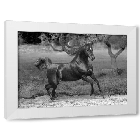 Feeling Free White Modern Wood Framed Art Print by Llovet, Jorge