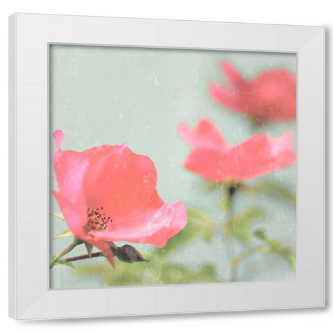 Botanical Romance White Modern Wood Framed Art Print by Lambert, Tom