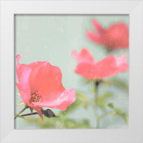 Botanical Romance White Modern Wood Framed Art Print by Lambert, Tom