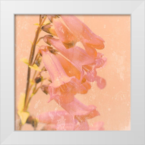 Romantic Foxglove White Modern Wood Framed Art Print by Lambert, Tom