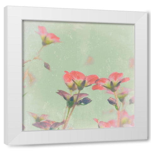 Romantic Meadow White Modern Wood Framed Art Print by Lambert, Tom