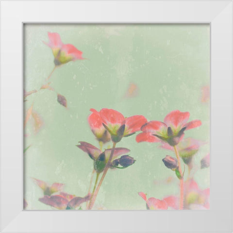 Romantic Meadow White Modern Wood Framed Art Print by Lambert, Tom