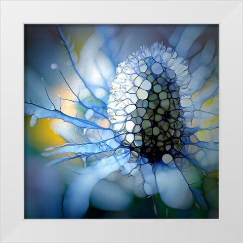 Eisdistel White Modern Wood Framed Art Print by Schmidt, Renate M.