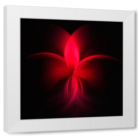 Fuchsie White Modern Wood Framed Art Print by Schmidt, Renate M.