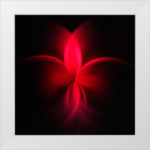 Fuchsie White Modern Wood Framed Art Print by Schmidt, Renate M.