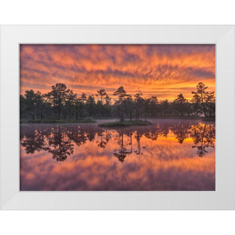 Dawn White Modern Wood Framed Art Print by Strand, Hans