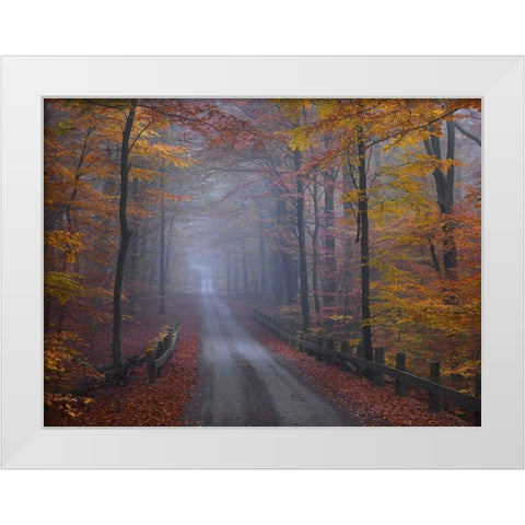 Misty Road White Modern Wood Framed Art Print by Strand, Hans