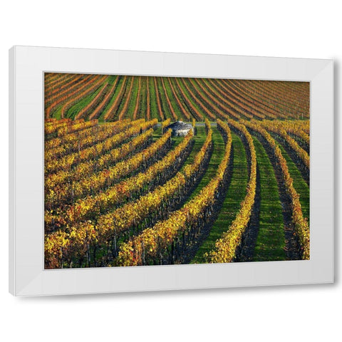 Veineyards of hautes cotes Burgundy White Modern Wood Framed Art Print by Strand, Hans