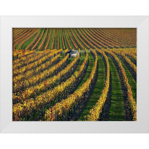 Veineyards of hautes cotes Burgundy White Modern Wood Framed Art Print by Strand, Hans