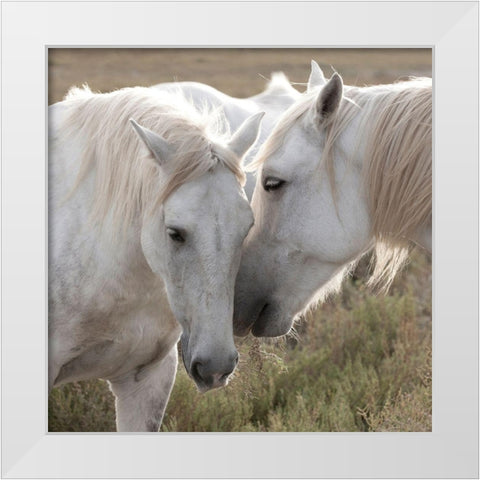 We have some Secrets White Modern Wood Framed Art Print by Llovet, Jorge