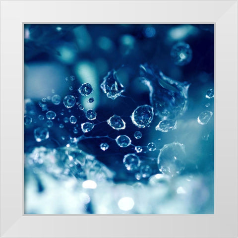 Little Worlds White Modern Wood Framed Art Print by Seidel, Lily Andrea