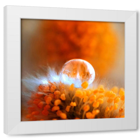 Eternal Flame White Modern Wood Framed Art Print by Seidel, Lily Andrea
