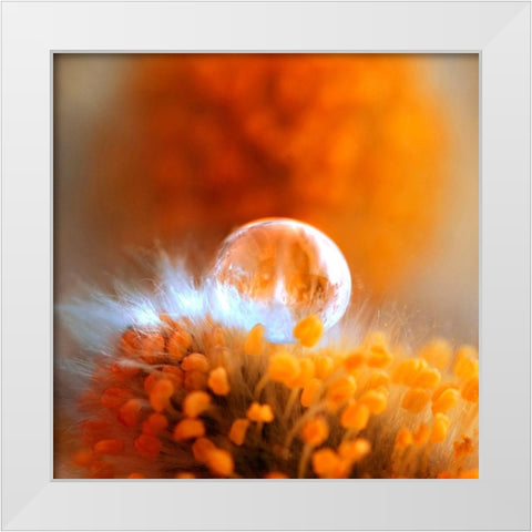 Eternal Flame White Modern Wood Framed Art Print by Seidel, Lily Andrea