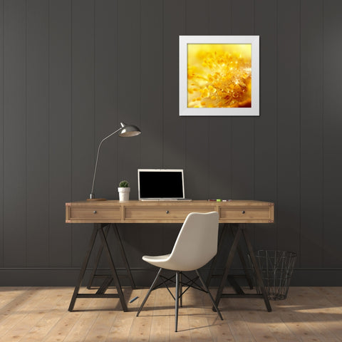 Break Through White Modern Wood Framed Art Print by Seidel, Lily Andrea