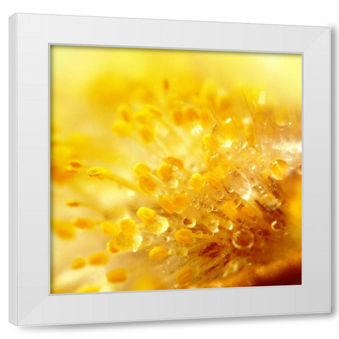 Break Through White Modern Wood Framed Art Print by Seidel, Lily Andrea