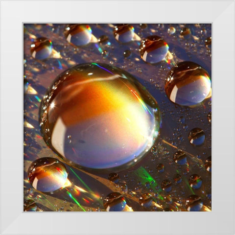 Rainbow Spectrum White Modern Wood Framed Art Print by Seidel, Lily Andrea