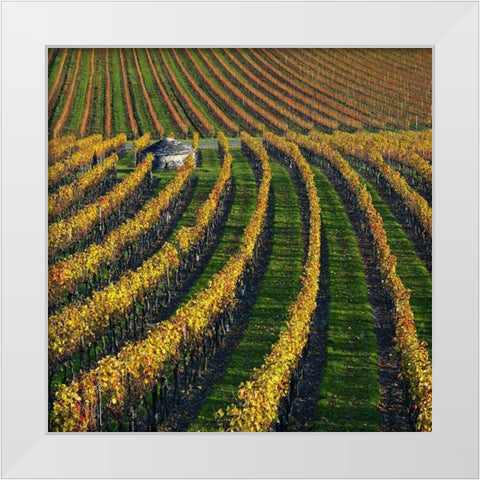 Veineyards of hautes cotes Burgundy White Modern Wood Framed Art Print by Strand, Hans