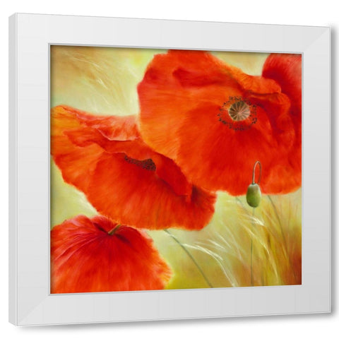 Drei Mal Mohn White Modern Wood Framed Art Print by Schmucker, Annette