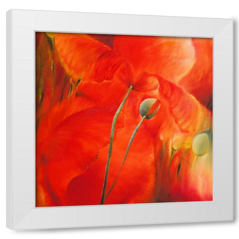 Roter Mohn White Modern Wood Framed Art Print by Schmucker, Annette