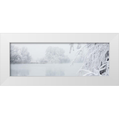 Winterlandschaft I White Modern Wood Framed Art Print by Hillert, Peter