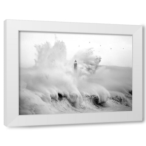Birds in the Storm White Modern Wood Framed Art Print by Cano, Marina