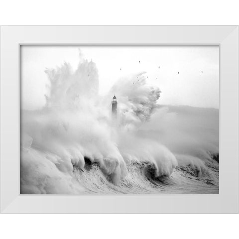 Birds in the Storm White Modern Wood Framed Art Print by Cano, Marina