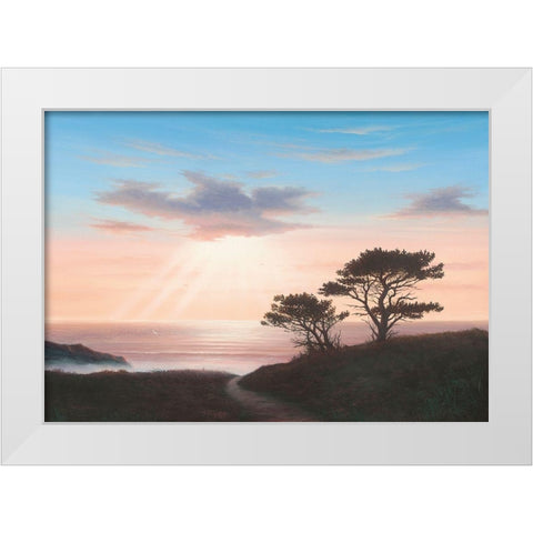 Eagles Nest Cornwall White Modern Wood Framed Art Print by Sim, John F