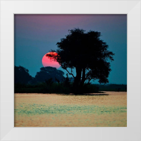 River of Tranquility White Modern Wood Framed Art Print by Brommelhorster, Ulf