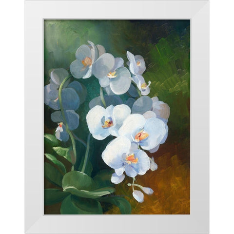 Phalaenopsis blanc White Modern Wood Framed Art Print by Vernageau, Sylvie