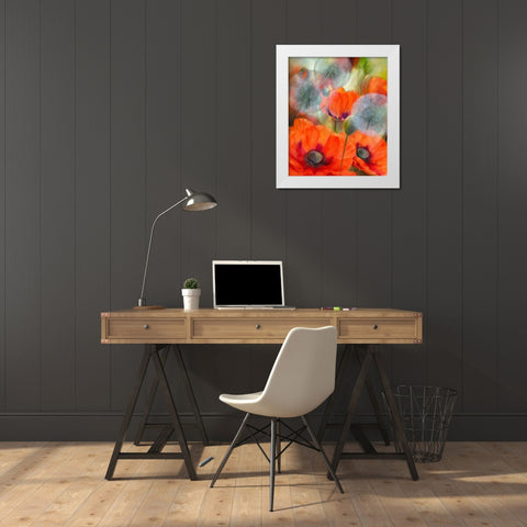 Mohn und Pustelblumen White Modern Wood Framed Art Print by Schmucker, Annette