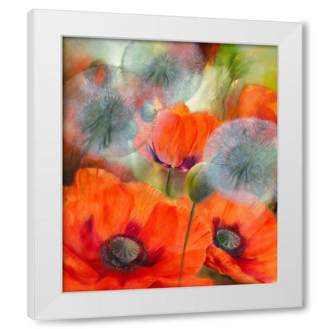 Mohn und Pustelblumen White Modern Wood Framed Art Print by Schmucker, Annette