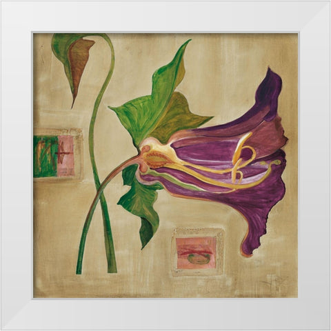 Blutenanatomie: Amaryllis White Modern Wood Framed Art Print by Richter-Armgart, Rose