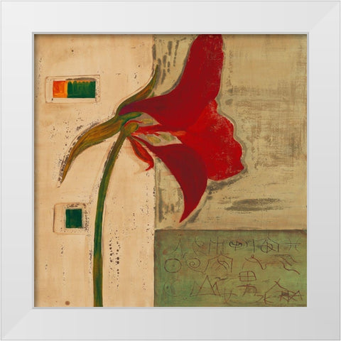 Blutenanatomie: Kapuziner Kresse White Modern Wood Framed Art Print by Richter-Armgart, Rose