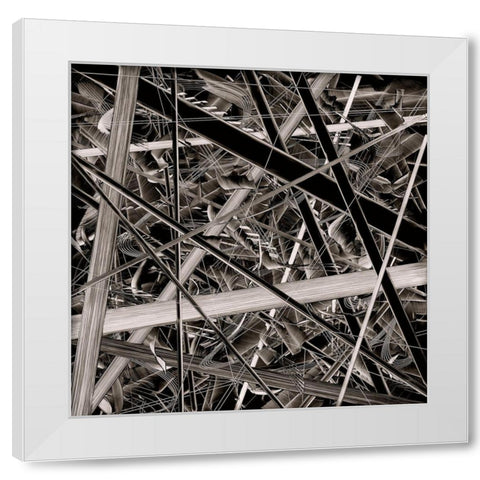 BW 221013 White Modern Wood Framed Art Print by NADAL